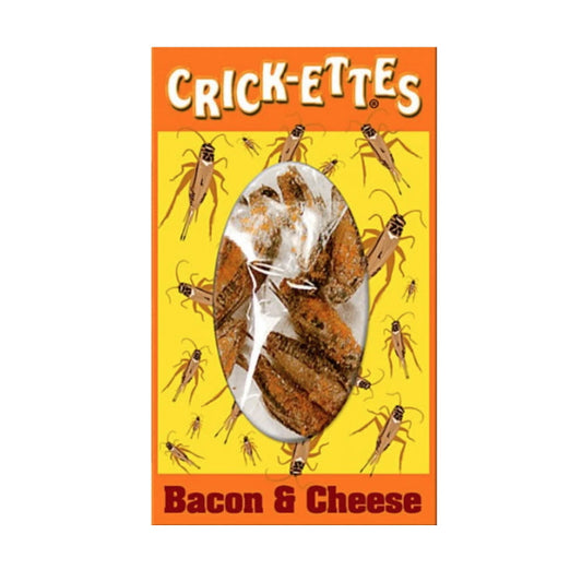 Cricket Fromage Bacon